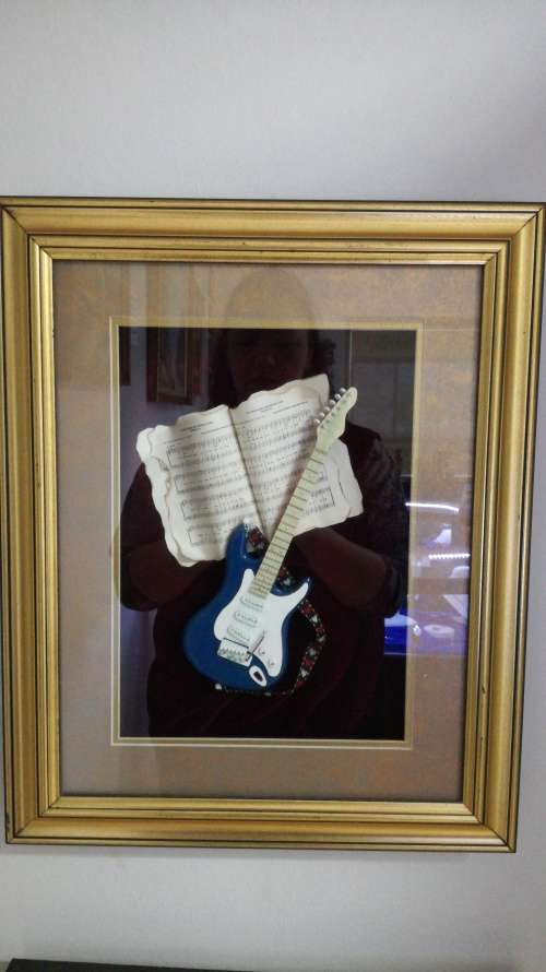 Collectable Musical Instruments in Frames